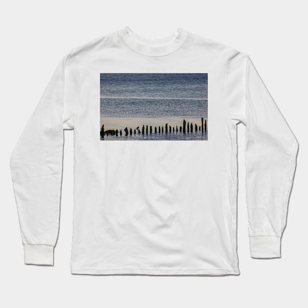 Wooden stumps in the River Clyde, Scotland Long Sleeve T-Shirt by mbangert